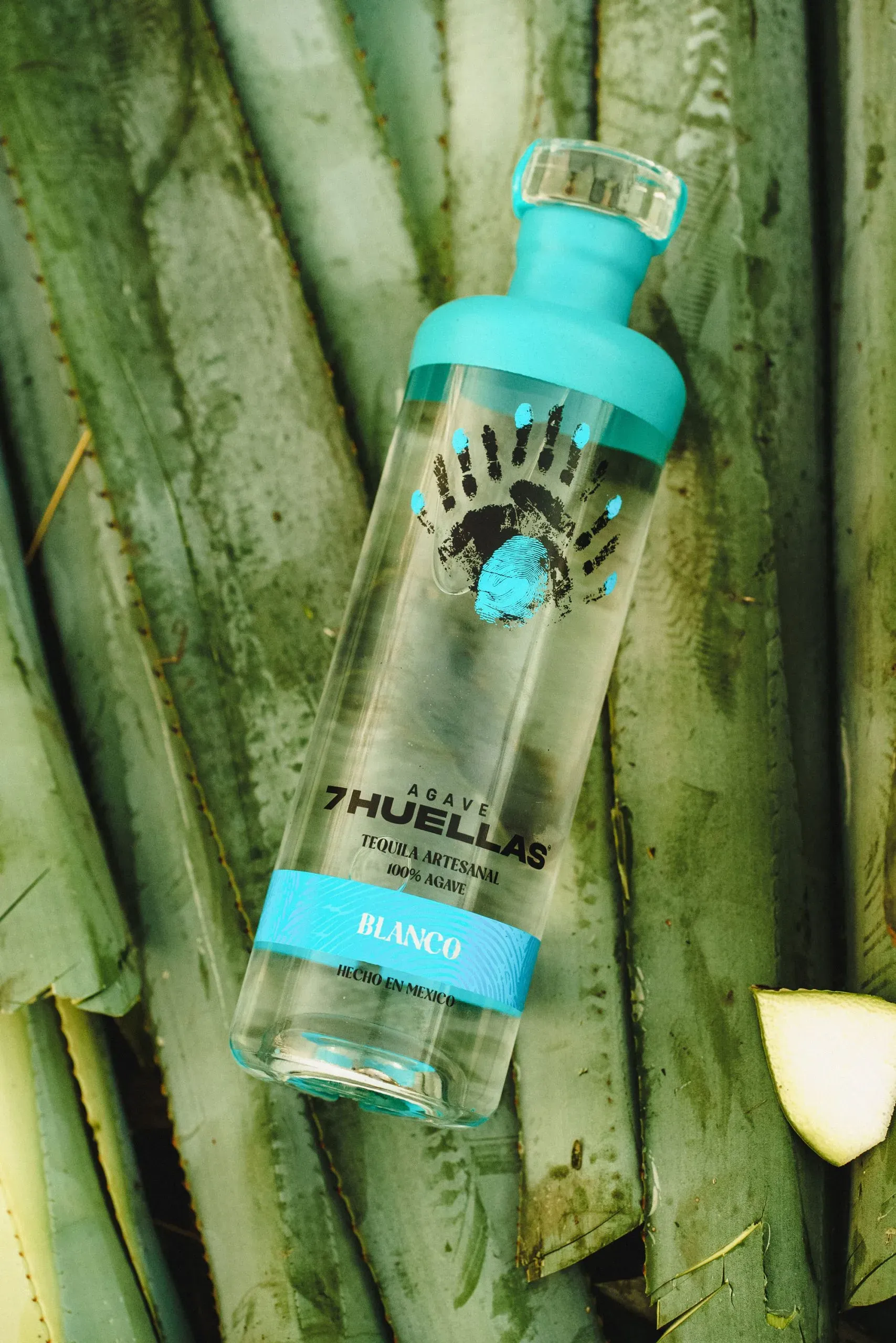 Blanco bottle resting on fresh agave leaves