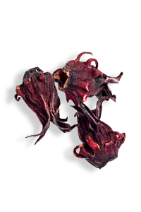 Dried hibiscus jamaica flowers close-up on white background