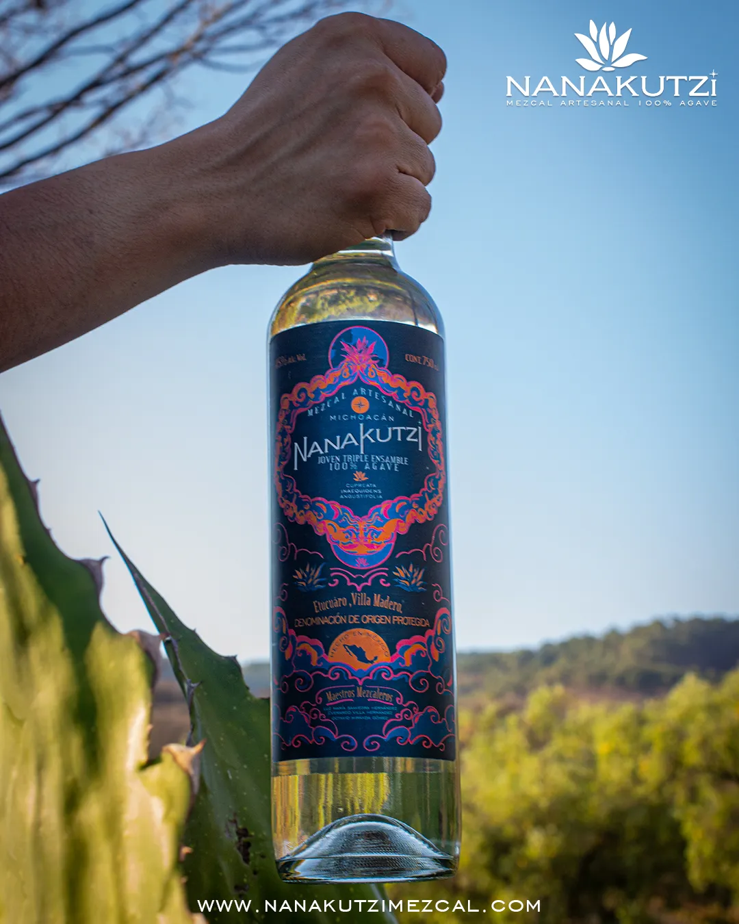 Hand holding Nanakutzi Espadín bottle among agave plants in sunny field