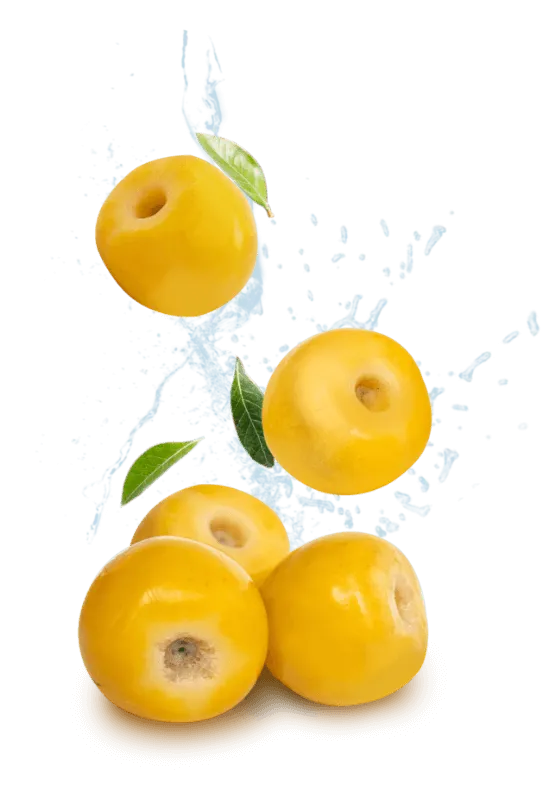 Fresh yellow nanche fruits with water splash and green leaves