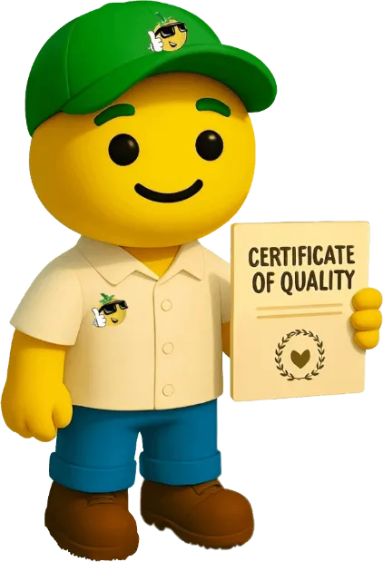 King Chars nanche mascot character holding a certificate of quality document