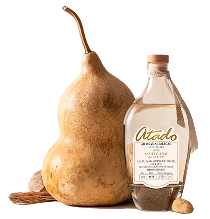 Mexicano bottle with dried gourd on white background