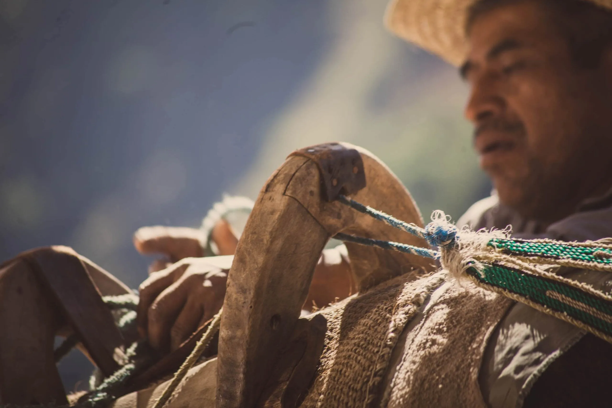 Close-up of mezcalero with donkey pack saddle and ropes in mountain sunlight