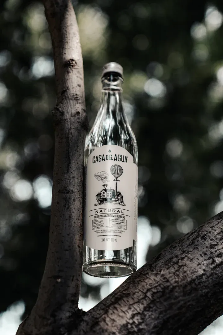 Casa del Agua Natural bottle nestled among tree branches in an outdoor nature setting
