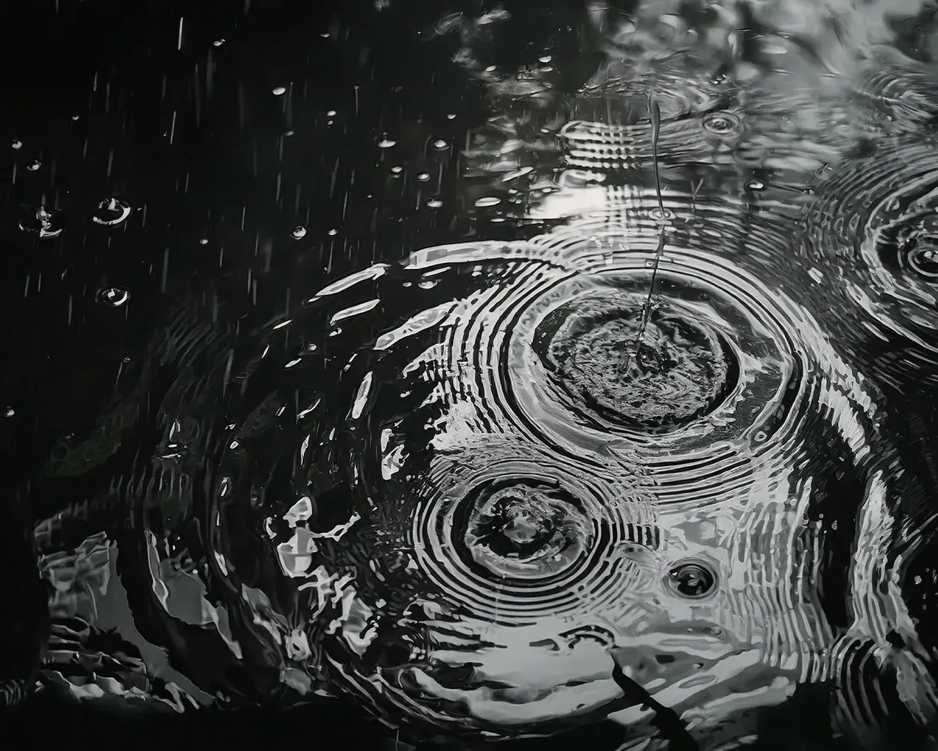 Raindrops creating concentric ripples on a dark water surface