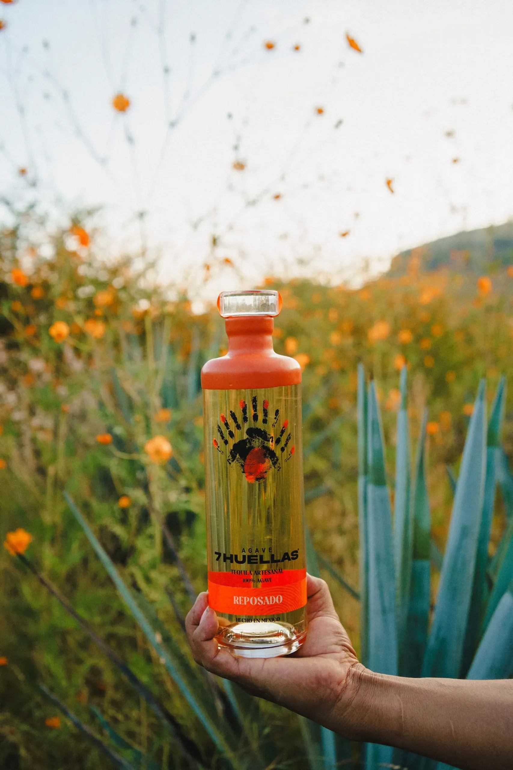Hand holding Reposado bottle in agave field with wildflowers
