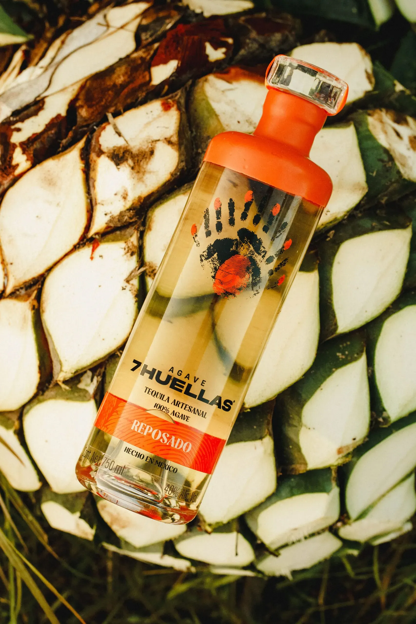 Reposado bottle resting on halved agave piña