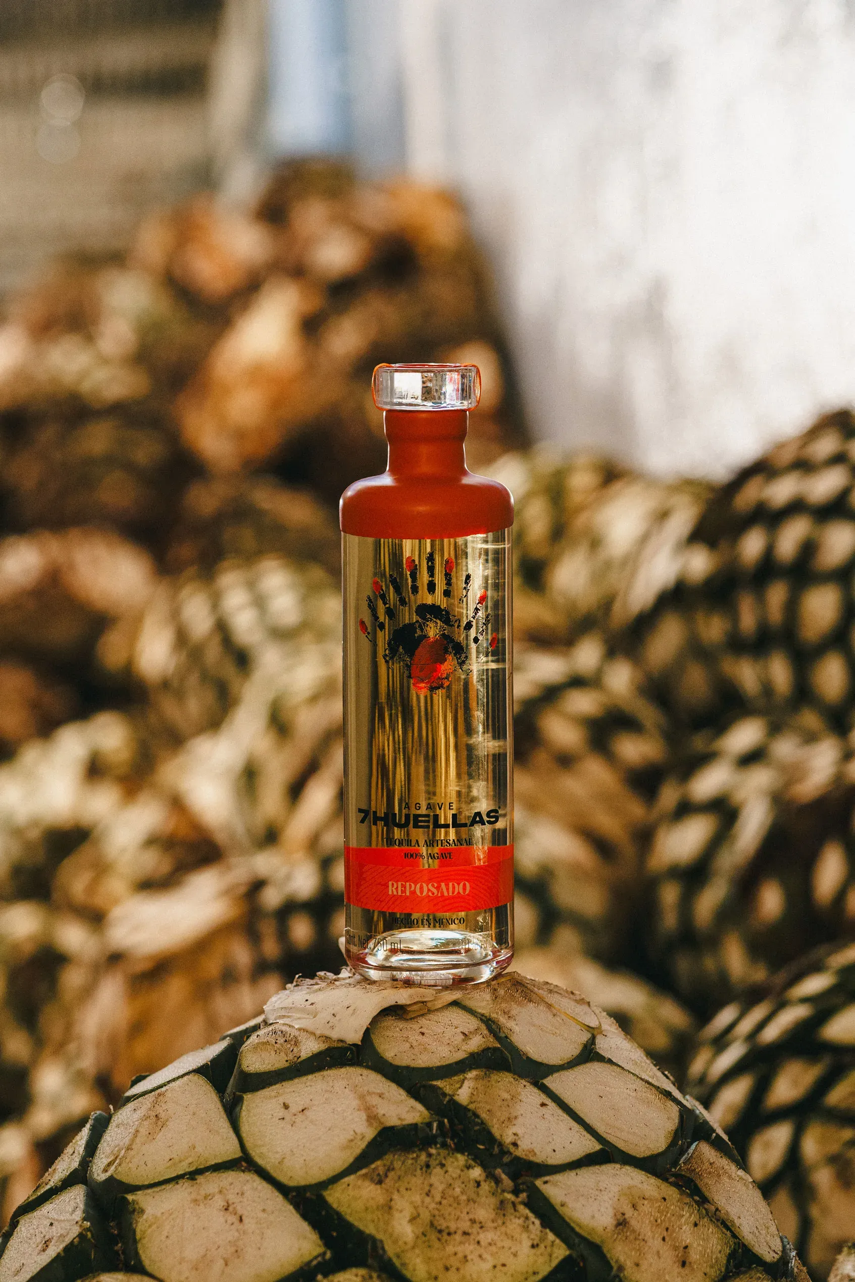 Reposado bottle on agave piña at distillery