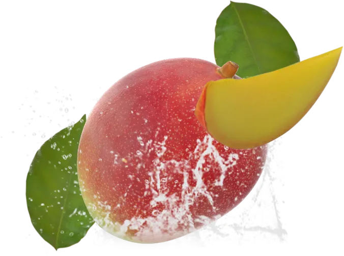 Fresh sliced mango with water splash and green leaves
