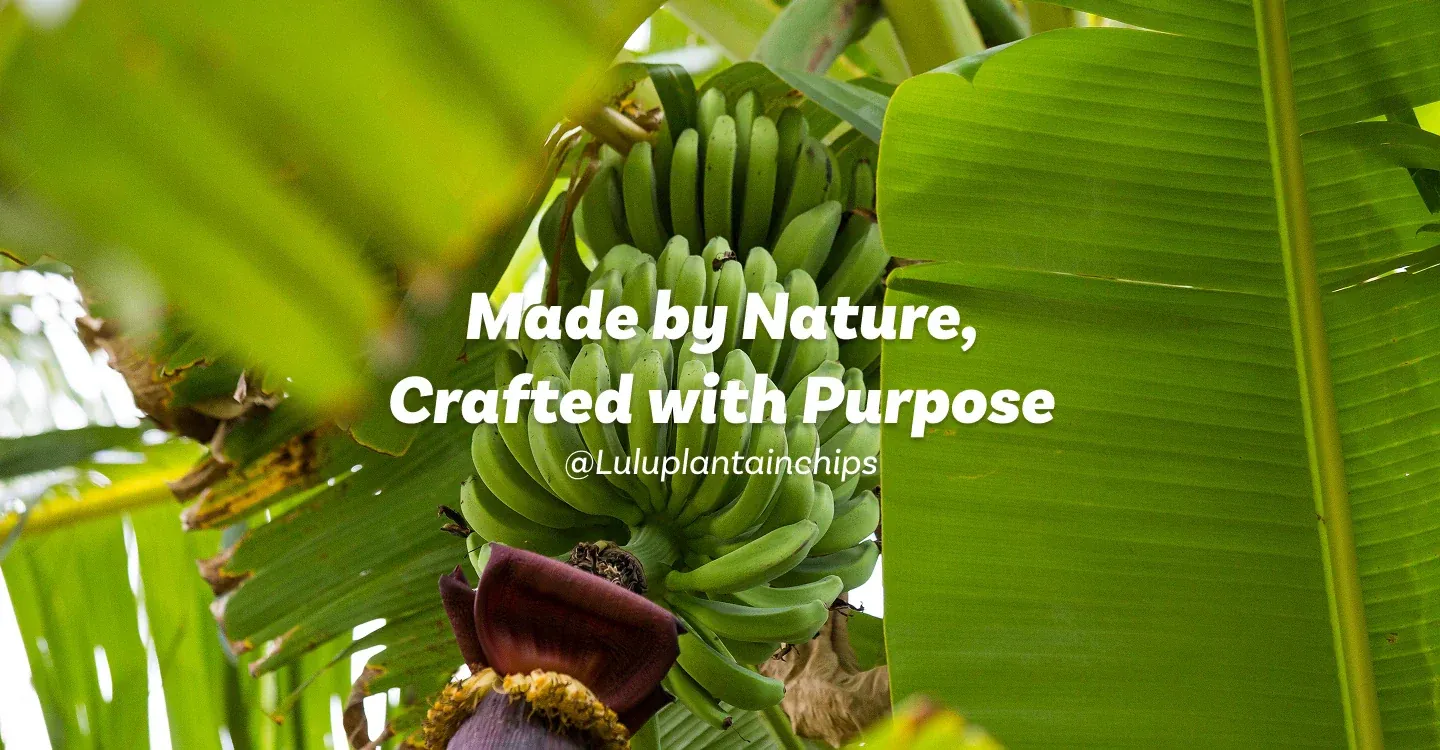 Plantain tree with text overlay Made by Nature Crafted with Purpose desktop banner