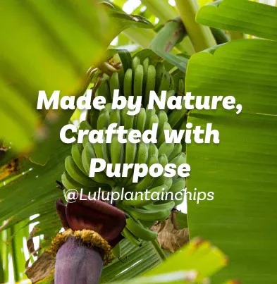 Plantain tree sustainability banner mobile crop