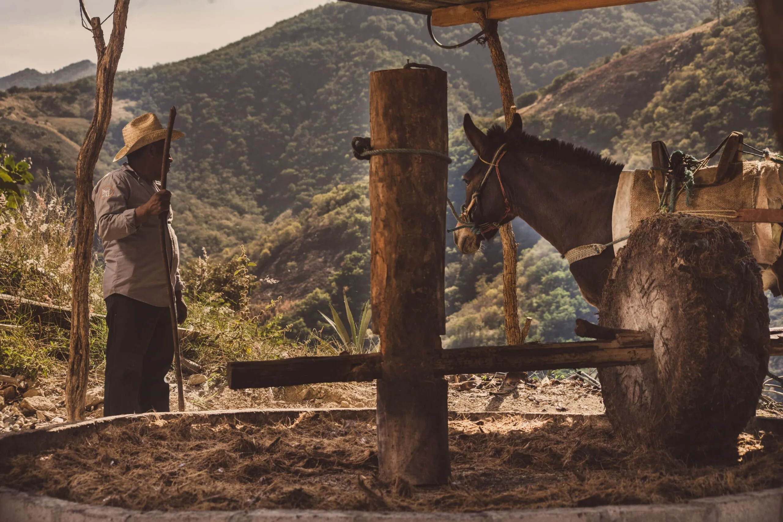 Mezcalero with horse-drawn tahona stone mill in Oaxaca mountain palenque