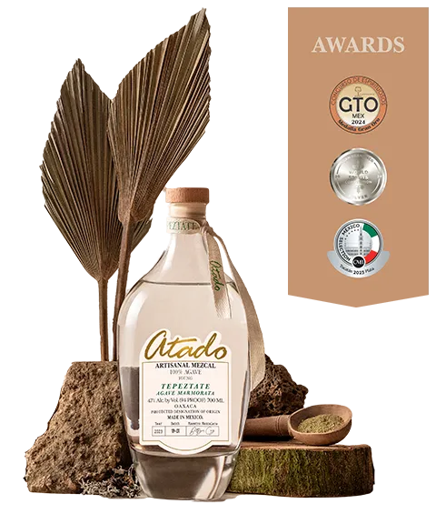 Tepeztate bottle with GTO award medals on bark and wood display