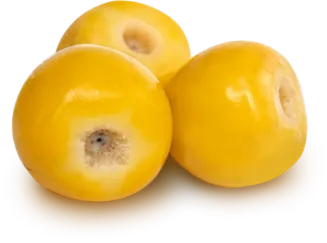 Three ripe yellow nanche fruits grouped together