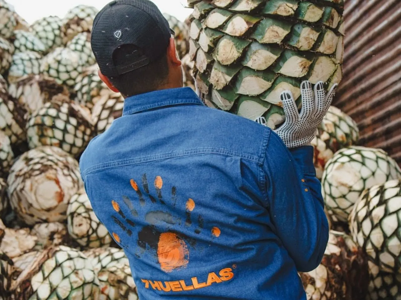 Worker in 7 Huellas branded shirt holding agave piña