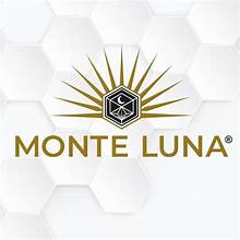 Monte Luna logo